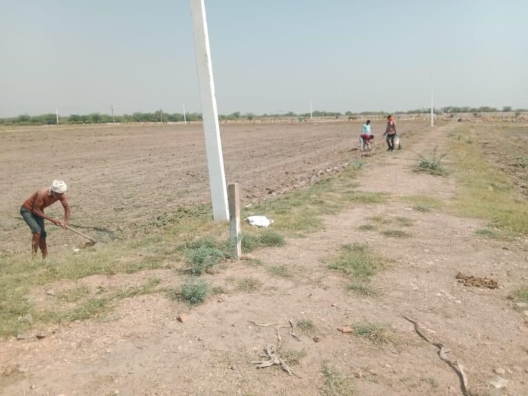 WhatsApp Image 2026-05-22 at 3.06.32 PM (1)